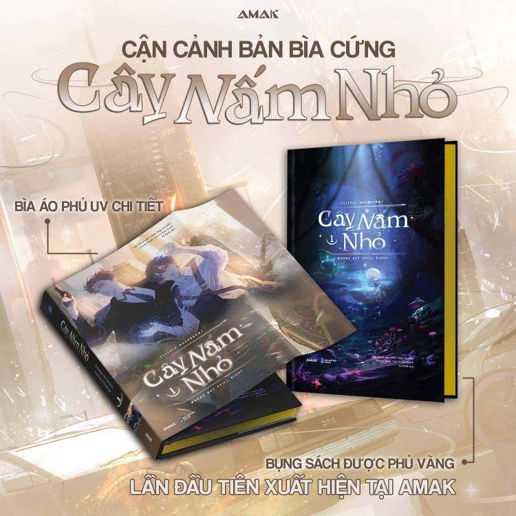 Cây Nấm Nhỏ - Bản sưu tầm (Bán lẻ)
