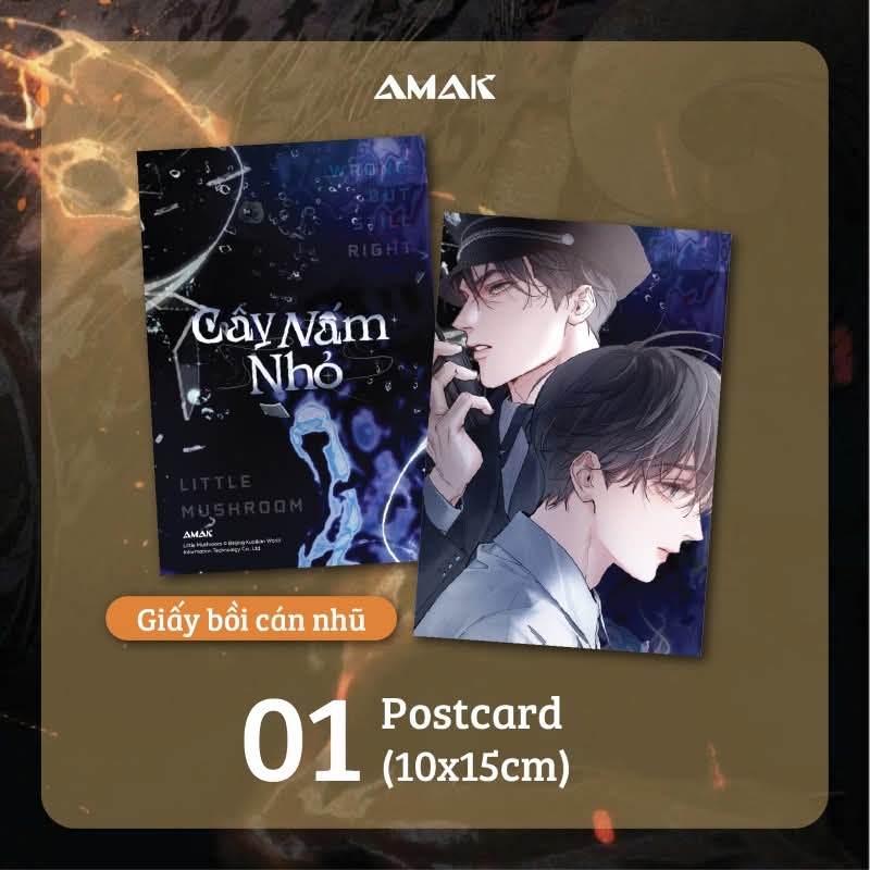 Cây Nấm Nhỏ - Bản sưu tầm (Bán lẻ)