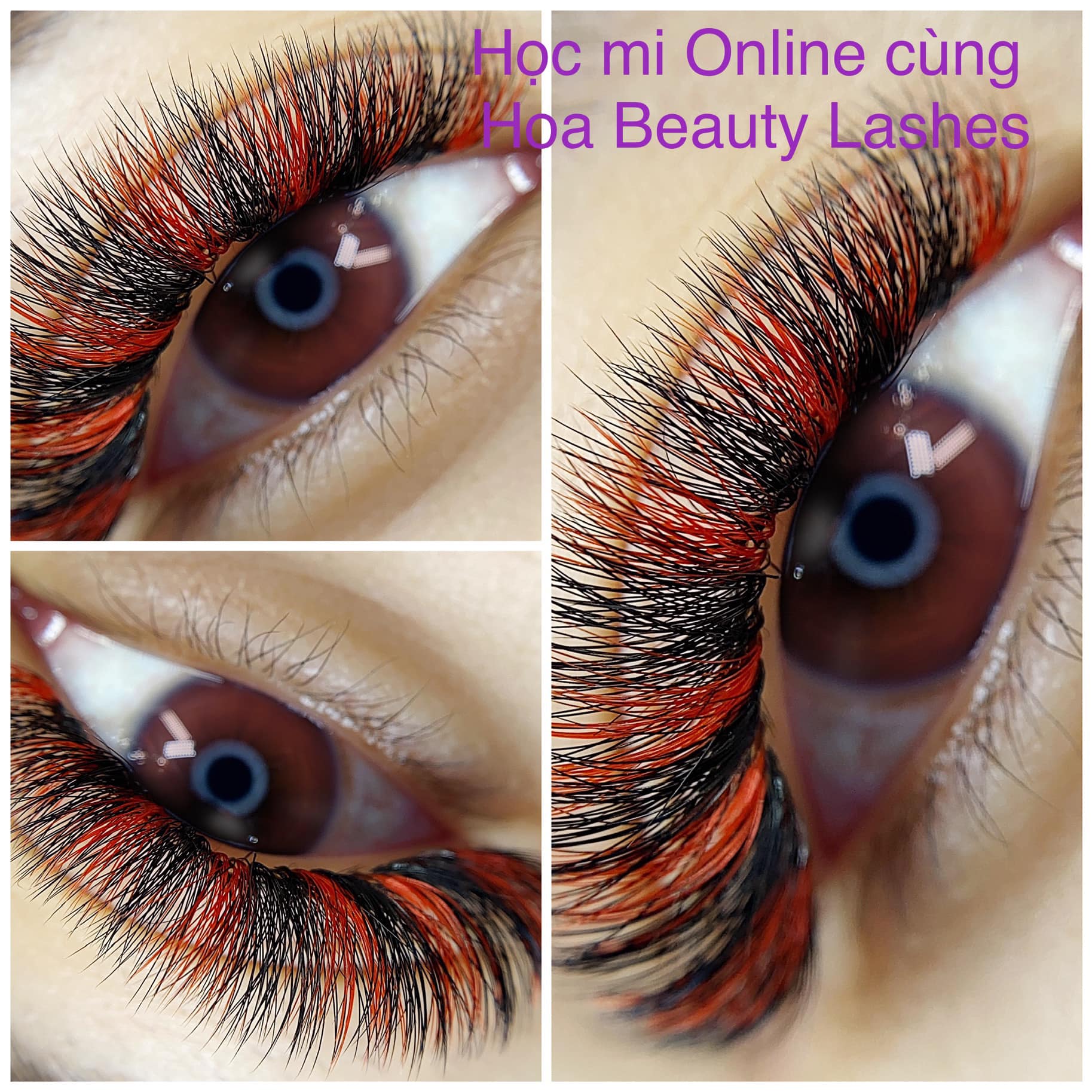 Khám Phá Các Loại Mi Nối Chuyên Nghiệp Tại Hoabeauty Lashes