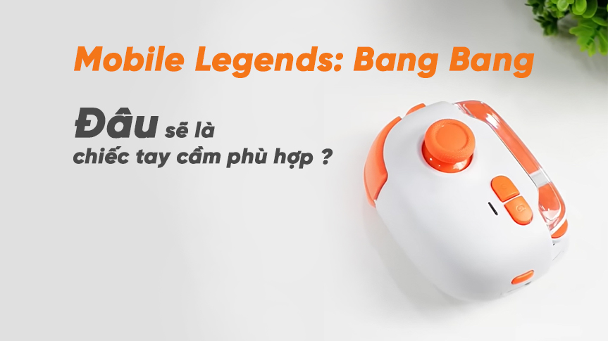Liệu với MBLL thì đâu sẽ là chiếc tay cầm phù hợp ?