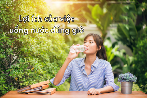Uống đủ nước, uống đúng loại nước – Bí quyết duy trì năng lượng mỗi ngày