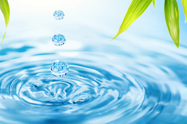 Góc nhìn người dùng: Vì sao gia đình tôi chọn BlueTech VN làm nhà cung cấp nước uống?