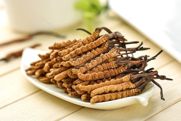 Review thực tế: Kết hợp i-on Life và Đông trùng hạ thảo – Bộ đôi chăm sóc sức khỏe từ trong ra ngoài