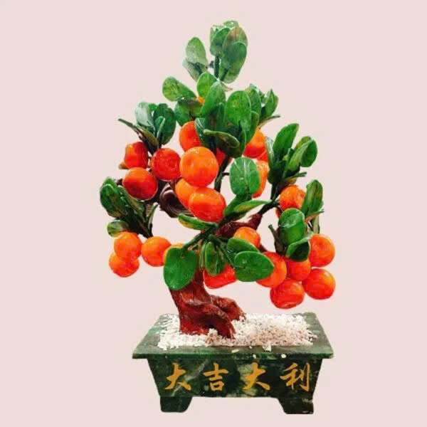 CÂY QUÝT TÀI LỘC ĐÁ THIÊN NHIÊN