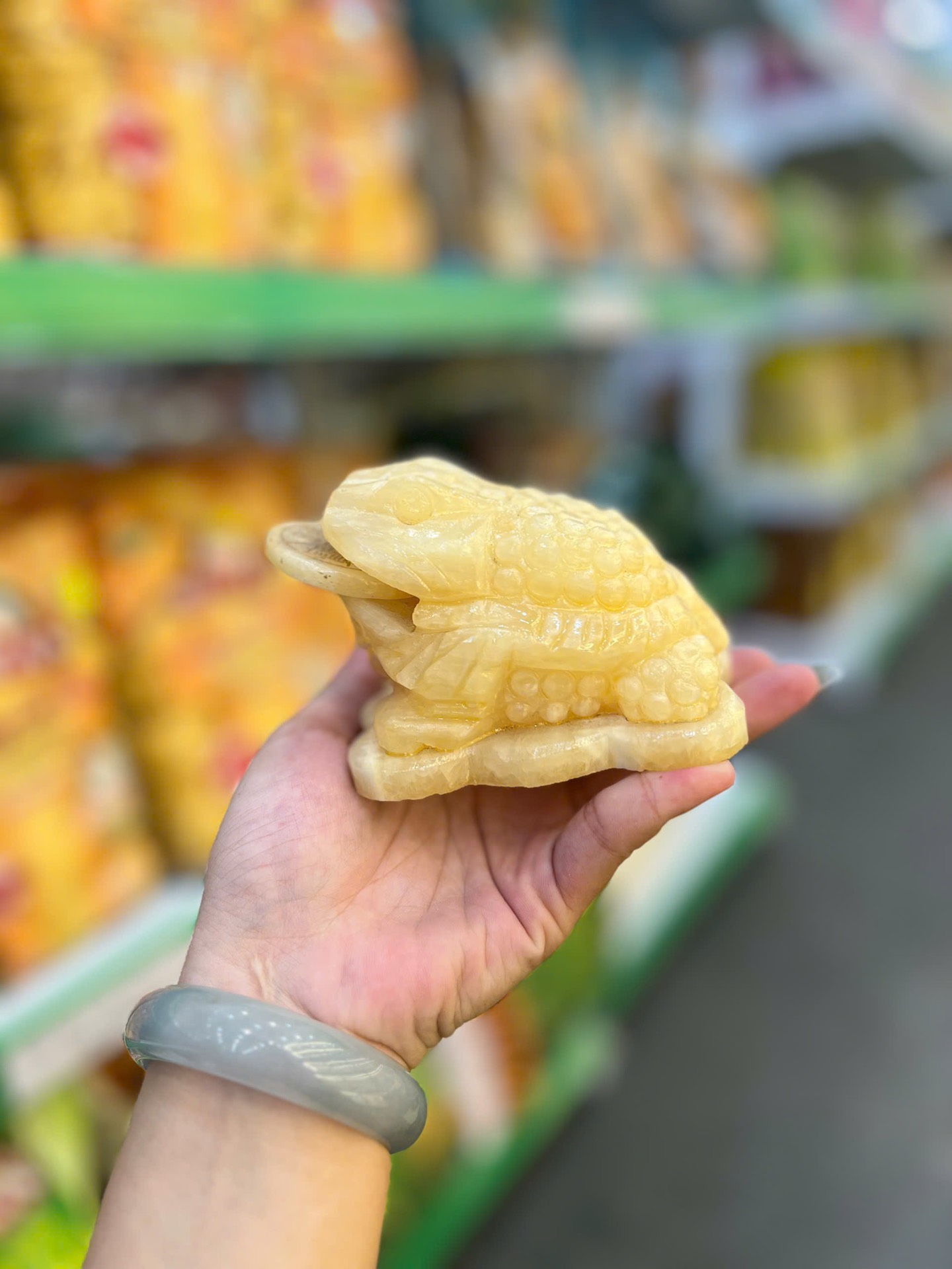 Q12 - Thiềm thừ hoàng long nhỏ