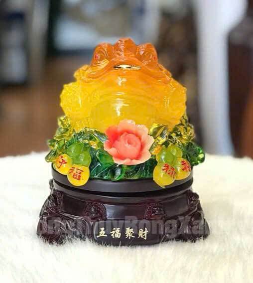 CÓC PHONG THUỶ