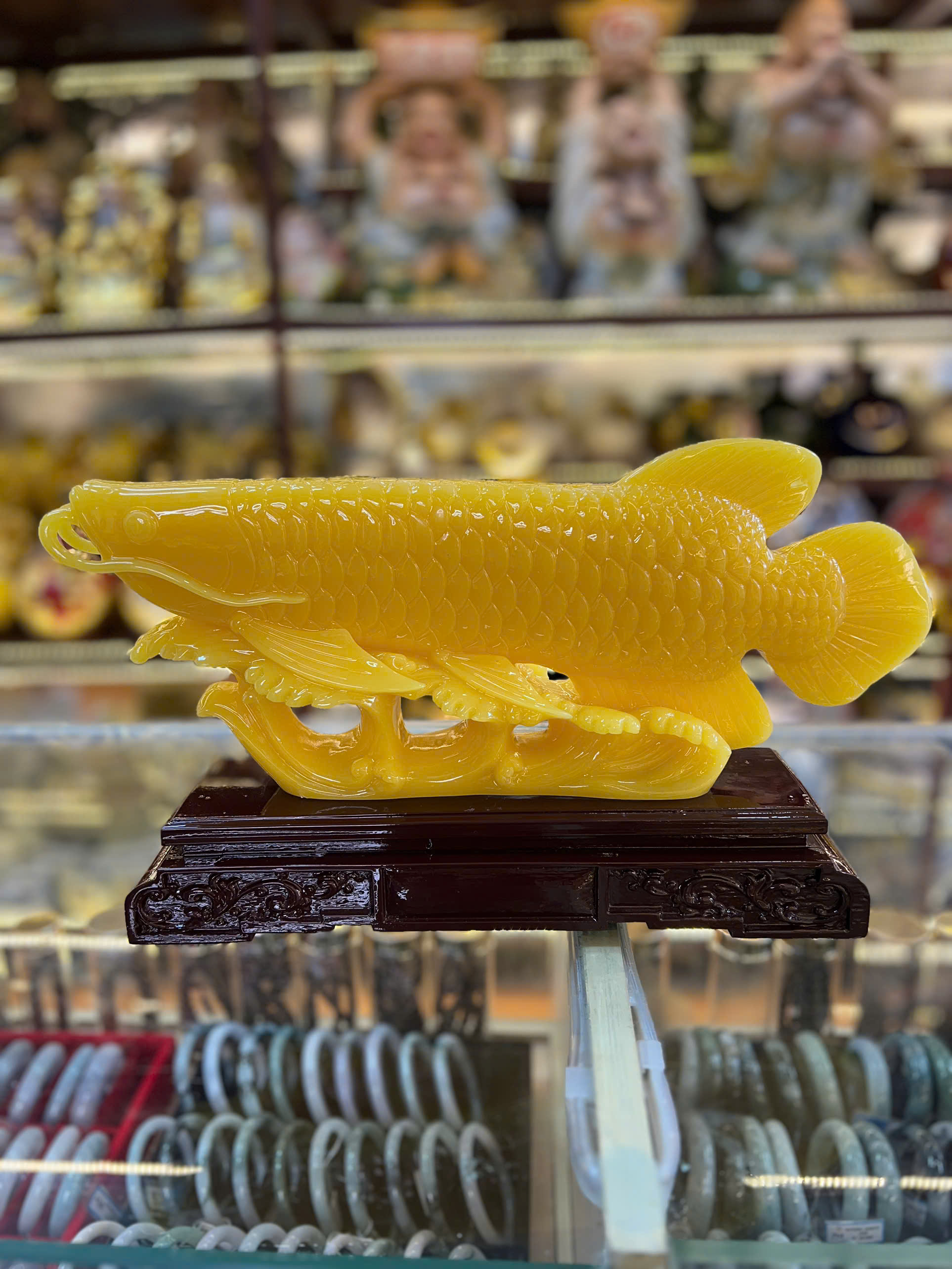 CÁ RỒNG PHONG THUỶ