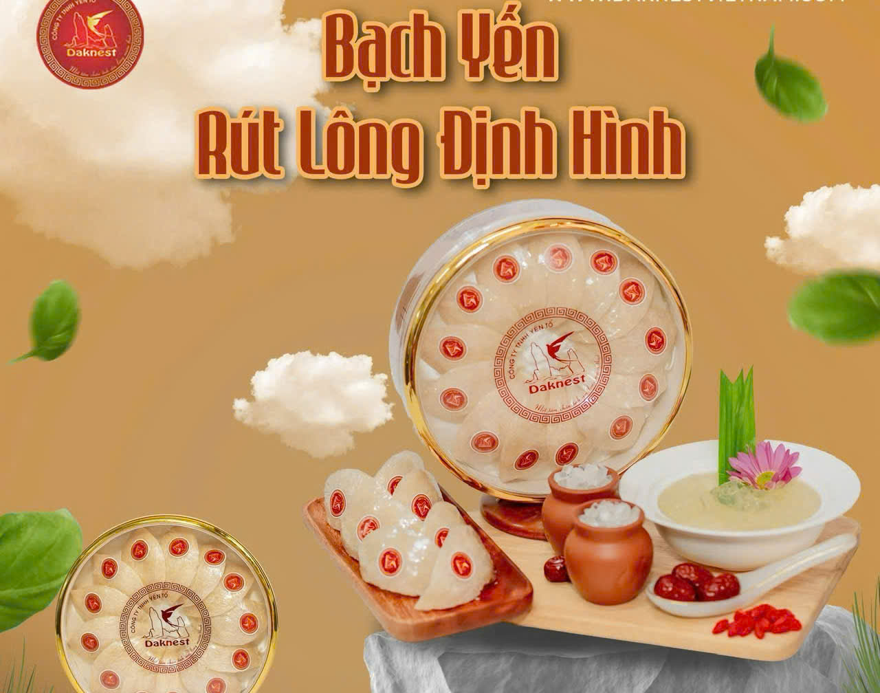 BẠCH YẾN RÚT LÔNG ĐỊNH HÌNH 100GR
