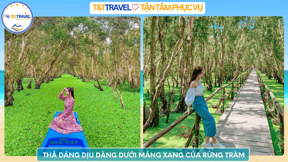 rừng tràm Trà Sư 7