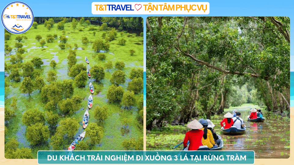 rừng tràm Trà Sư 11