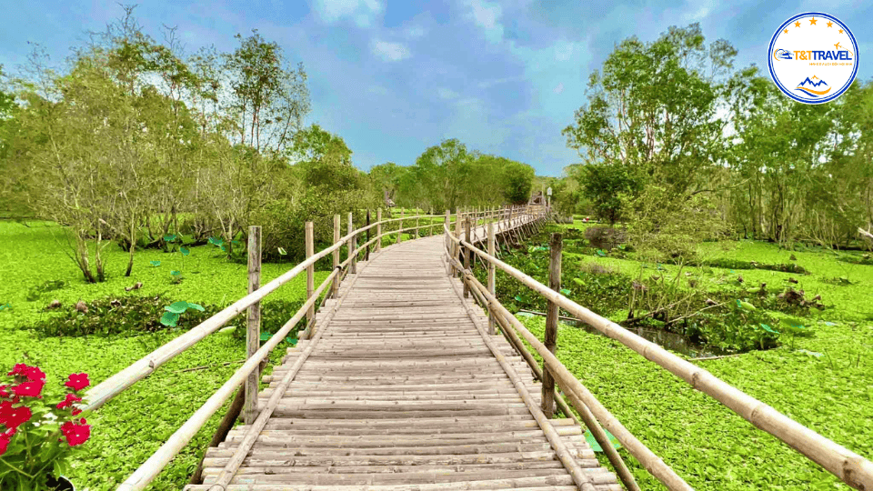 rừng tràm Trà Sư 1