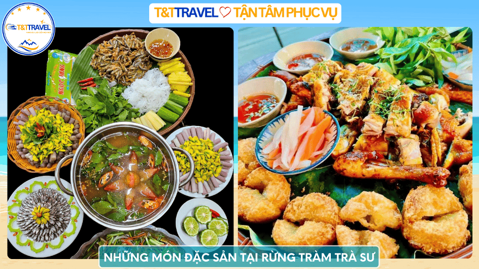 rừng tràm Trà Sư 12