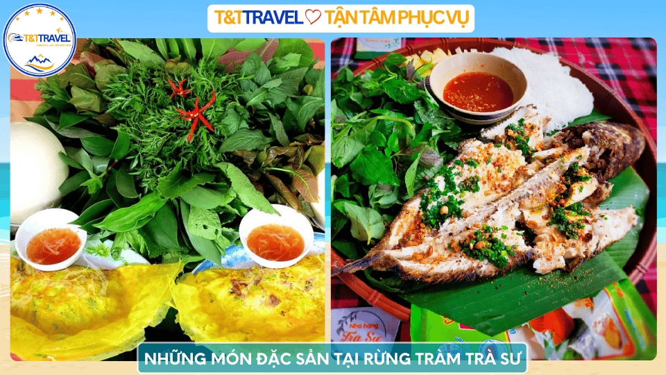 rừng tràm Trà Sư 13
