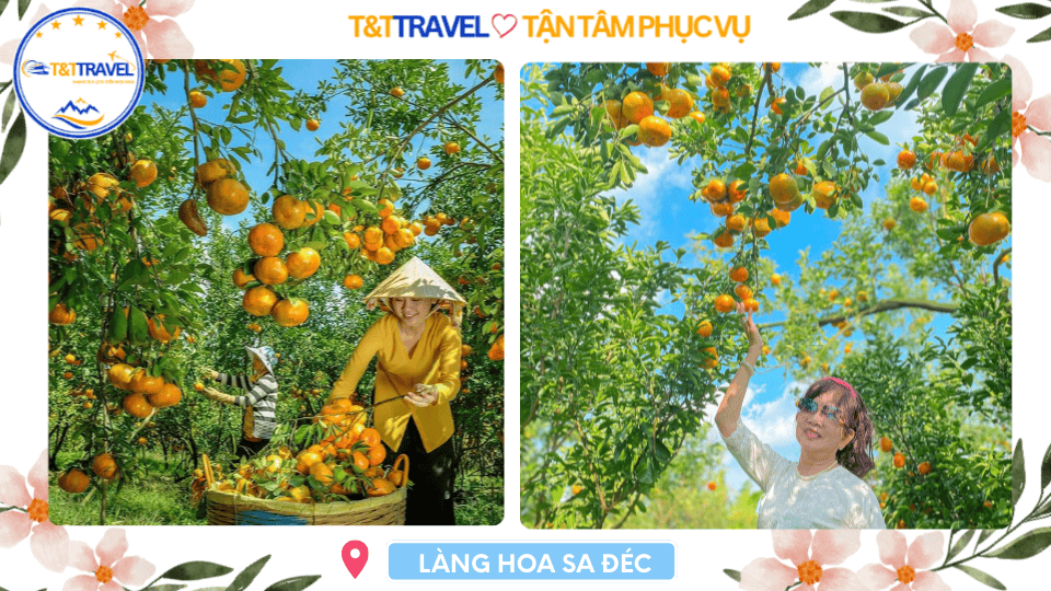 TOUR LÀNG HOA SA ĐÉC 1 NGÀY SIÊU TIẾT KIỆM 2026