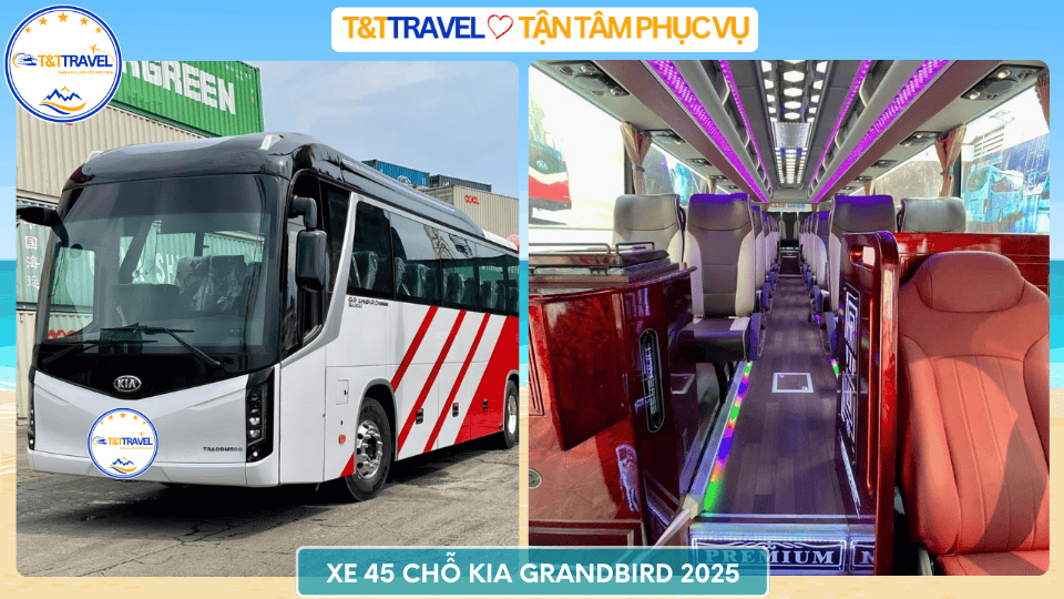 CHO THUÊ XE 45 CHỖ ĐỜI MỚI TIỆN NGHI GIÁ SIÊU TIẾT KIỆM 2026