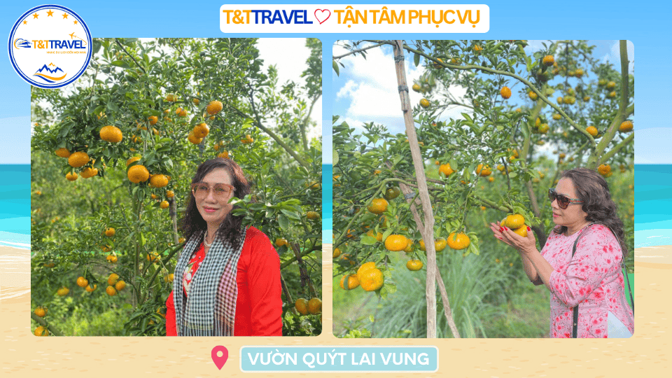 TOUR LÀNG HOA SA ĐÉC 1 NGÀY SIÊU TIẾT KIỆM 2026