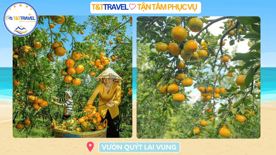 TOUR LÀNG HOA SA ĐÉC 1 NGÀY SIÊU TIẾT KIỆM 2026