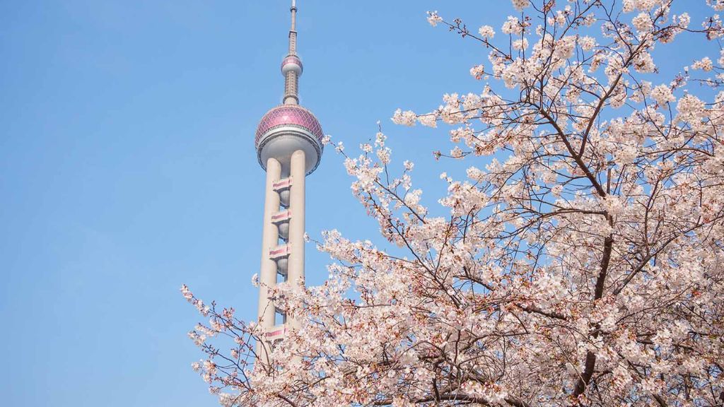 Hồ Chí Minh - Thượng Hải - Bắc Kinh - Hàng Châu - Ô Trấn 7N6Đ