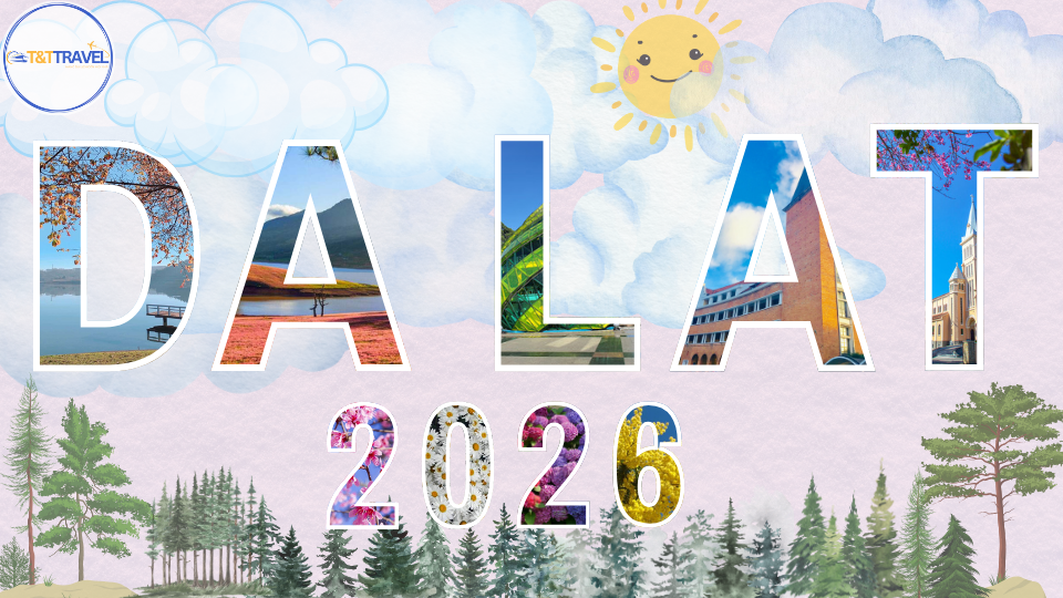 TOUR ĐÀ LẠT 3N3Đ SIÊU TIẾT KIỆM 2026|XE GIƯỜNG NẰM