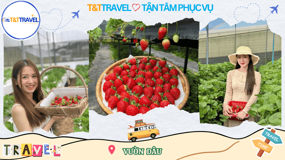 TOUR DU LỊCH ĐÀ LẠT - PHAN THIẾT SIÊU TIẾT KIỆM 2026