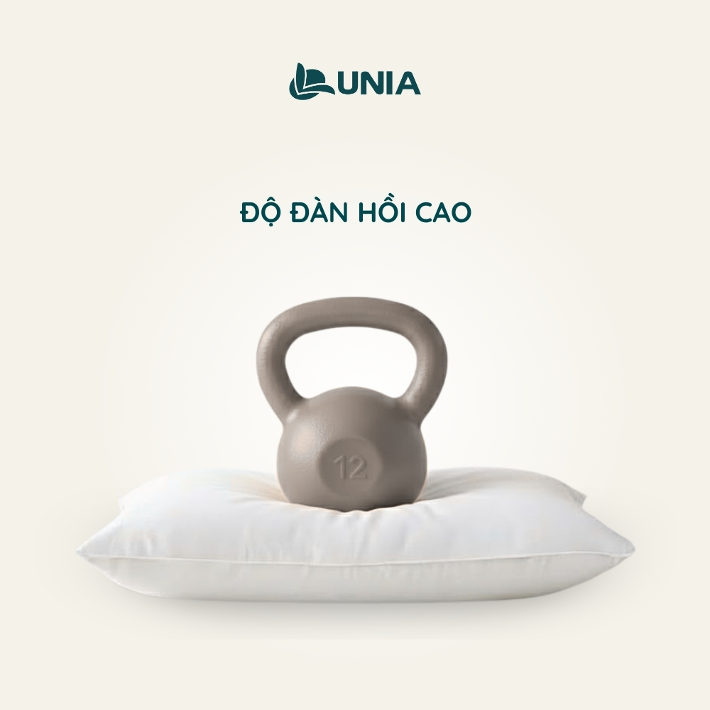 GỐI  BÔNG GÒN ÉP HƠI LUNIA