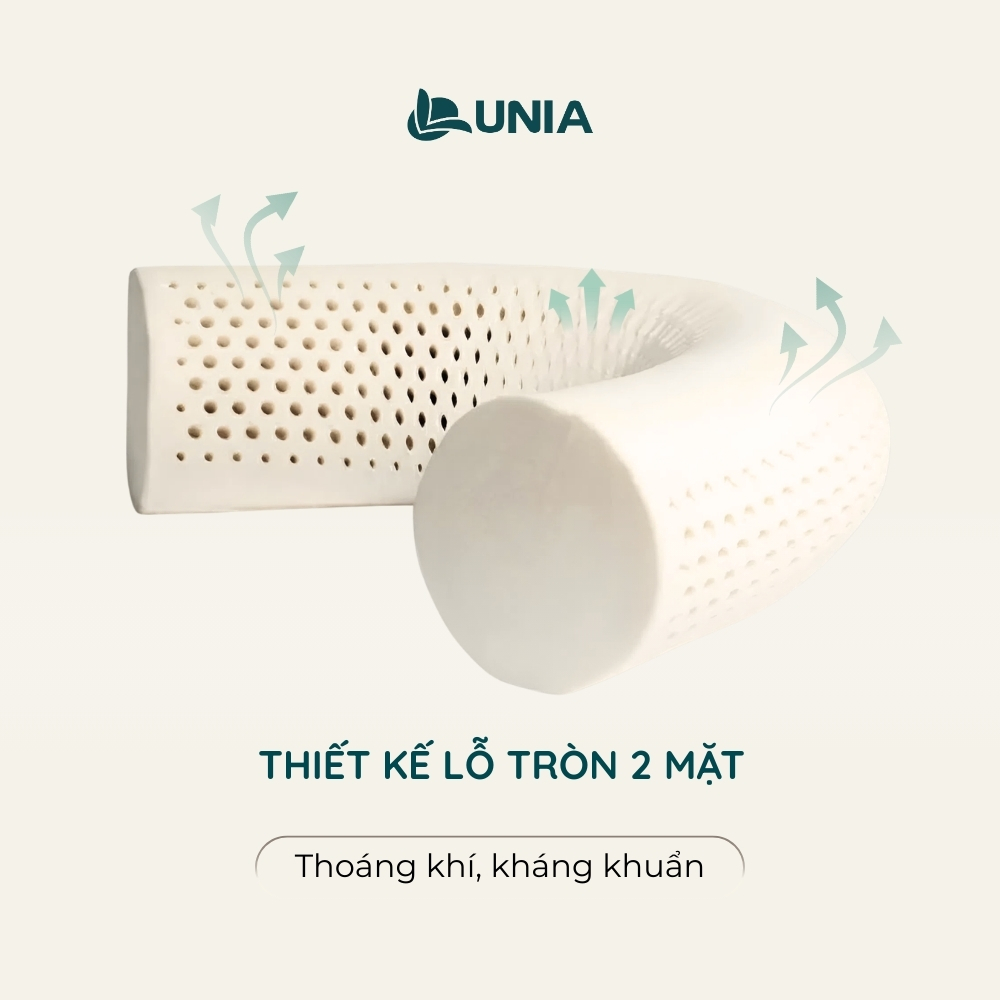 Gối Ôm cao su thiên nhiên