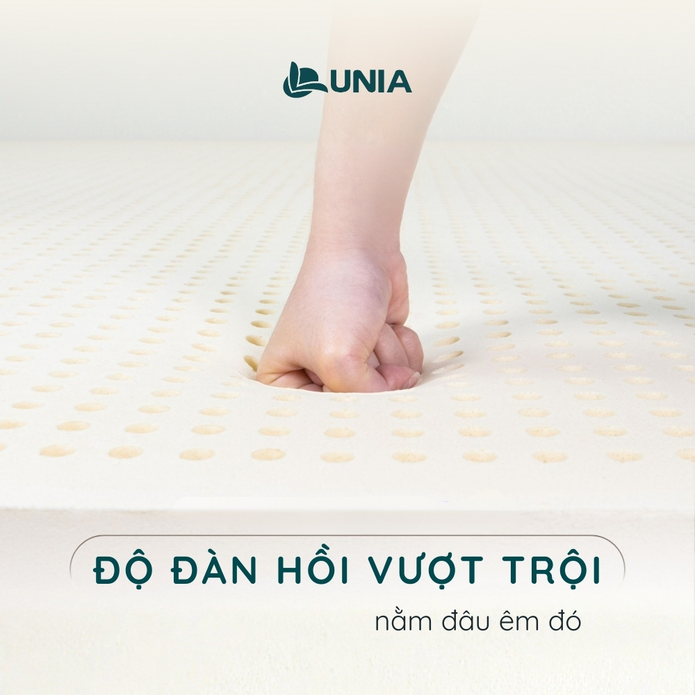 Nệm Cao Su Thiên Nhiên