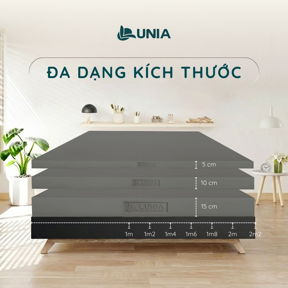 Nệm cao su thiên nhiên Than Hoạt Tính