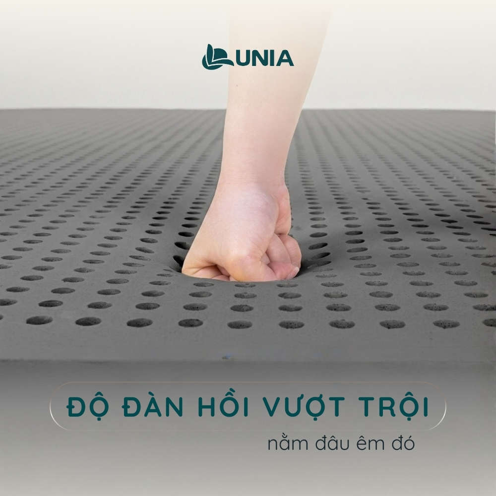 Nệm cao su thiên nhiên Than Hoạt Tính