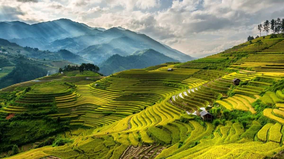 “Thiên nhiên Việt Nam – Phát triển bền vững – Bản sắc vùng miền”: Thông điệp của LibeGreen trên hành trình vươn ra toàn cầu