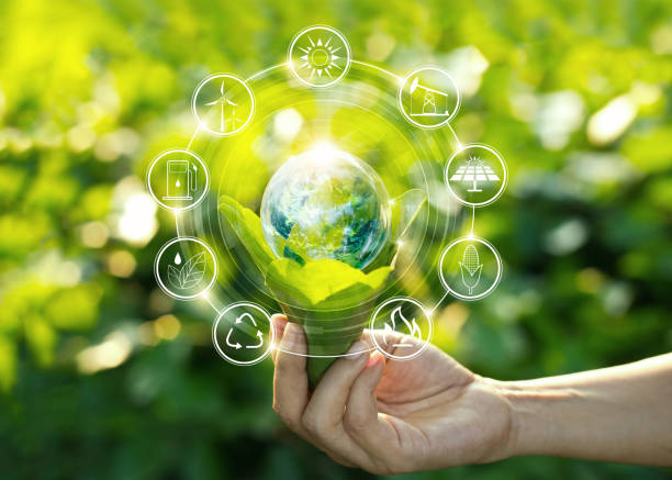 LibeGreen ra mắt: Nền tảng đầu tiên của hệ sinh thái sản phẩm tự nhiên Liberico