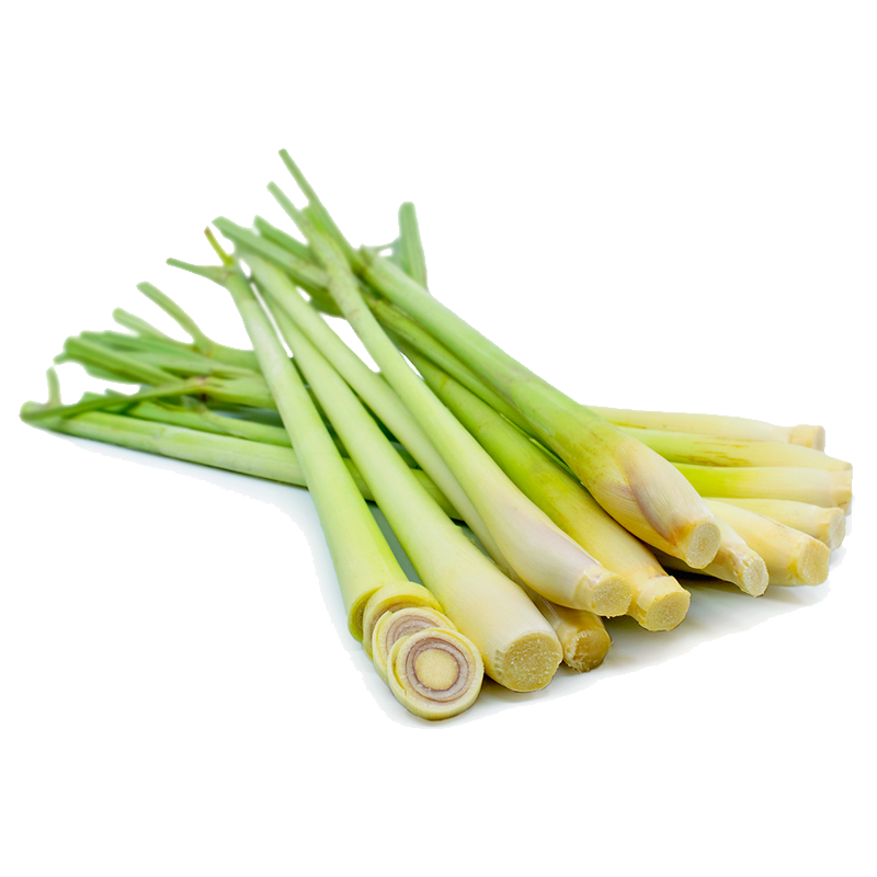 SẢ TƯƠI