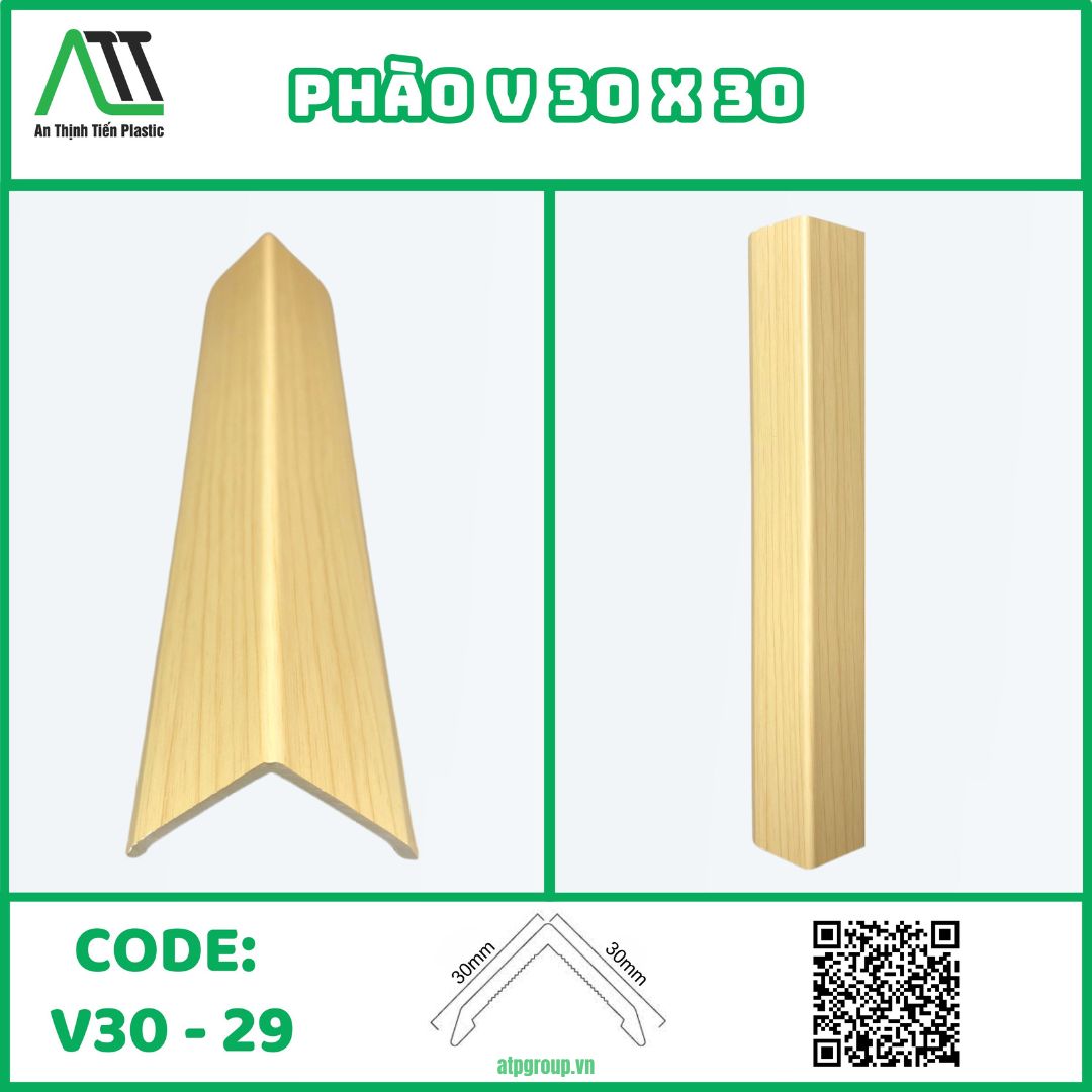 V30-29