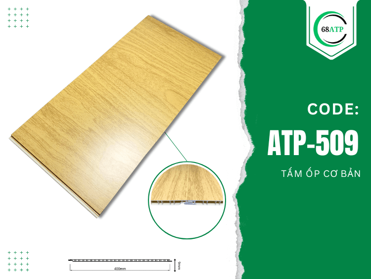 ATP-509