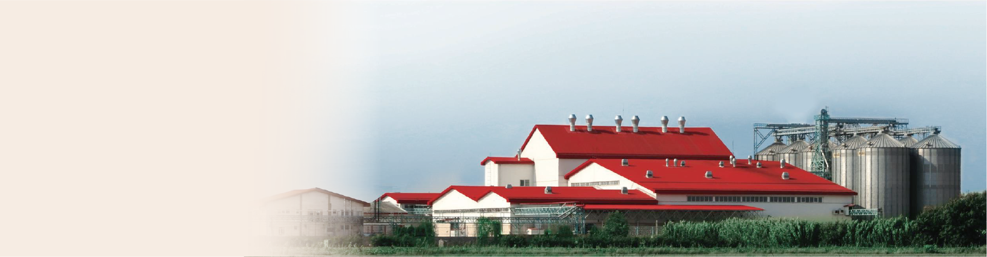 Hợp tác kinh doanh