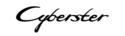 icon name