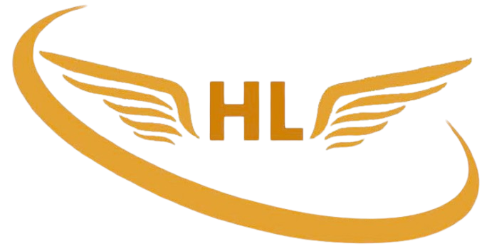 logo CÔNG TY TNHH CÔNG NGHỆ VÀ DỊCH VỤ TIN HỌC HLC