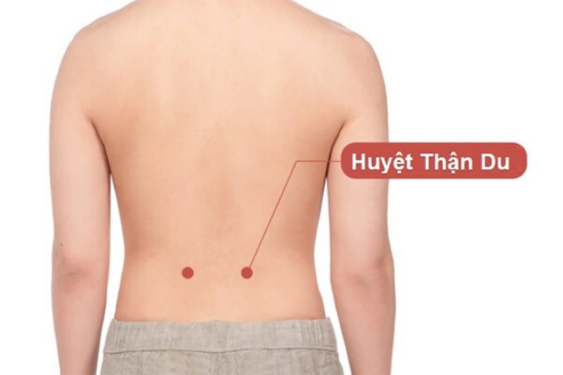 Huyệt Thận Du (BL23) – trụ cột vùng thắt lưng