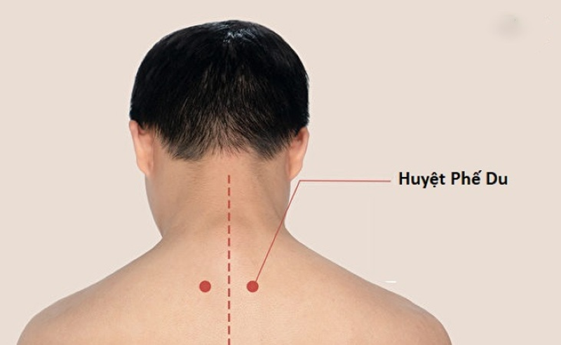 Cặp huyệt Phế Du (BL13) và Tâm Du (BL15)