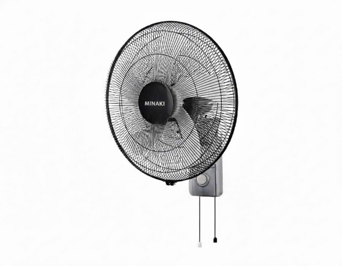 Quạt treo tường B4