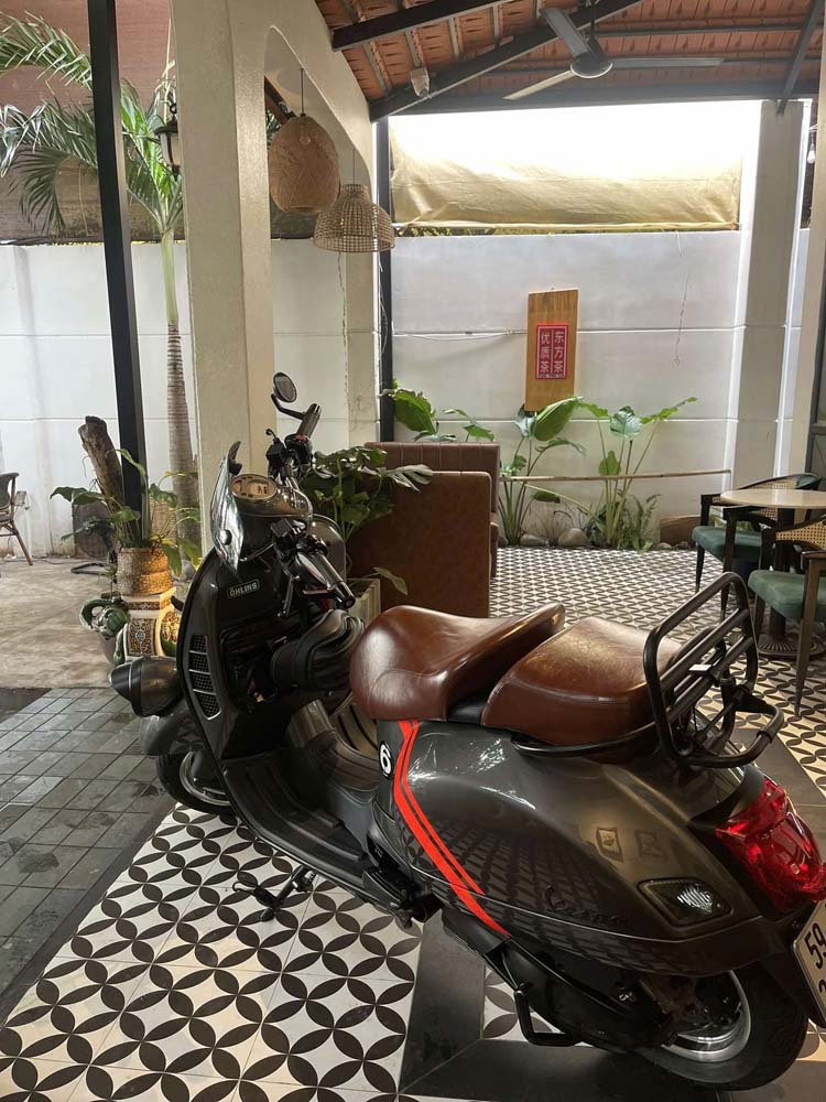 Yên Đôi Vespa Cao Cấp – Màu Nâu Bóng Đậm _ VESPA-V16-BROWN