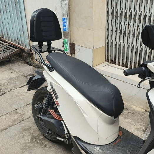 Tựa Lưng Cho Người Ngồi Sau Dat Bike Quantum (Chỉ tựa sau) _ DB-TS