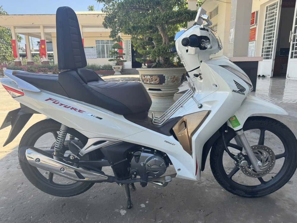 Yên xe tựa bật cho future tiện ích _ FUTURE-TL03-BROWN