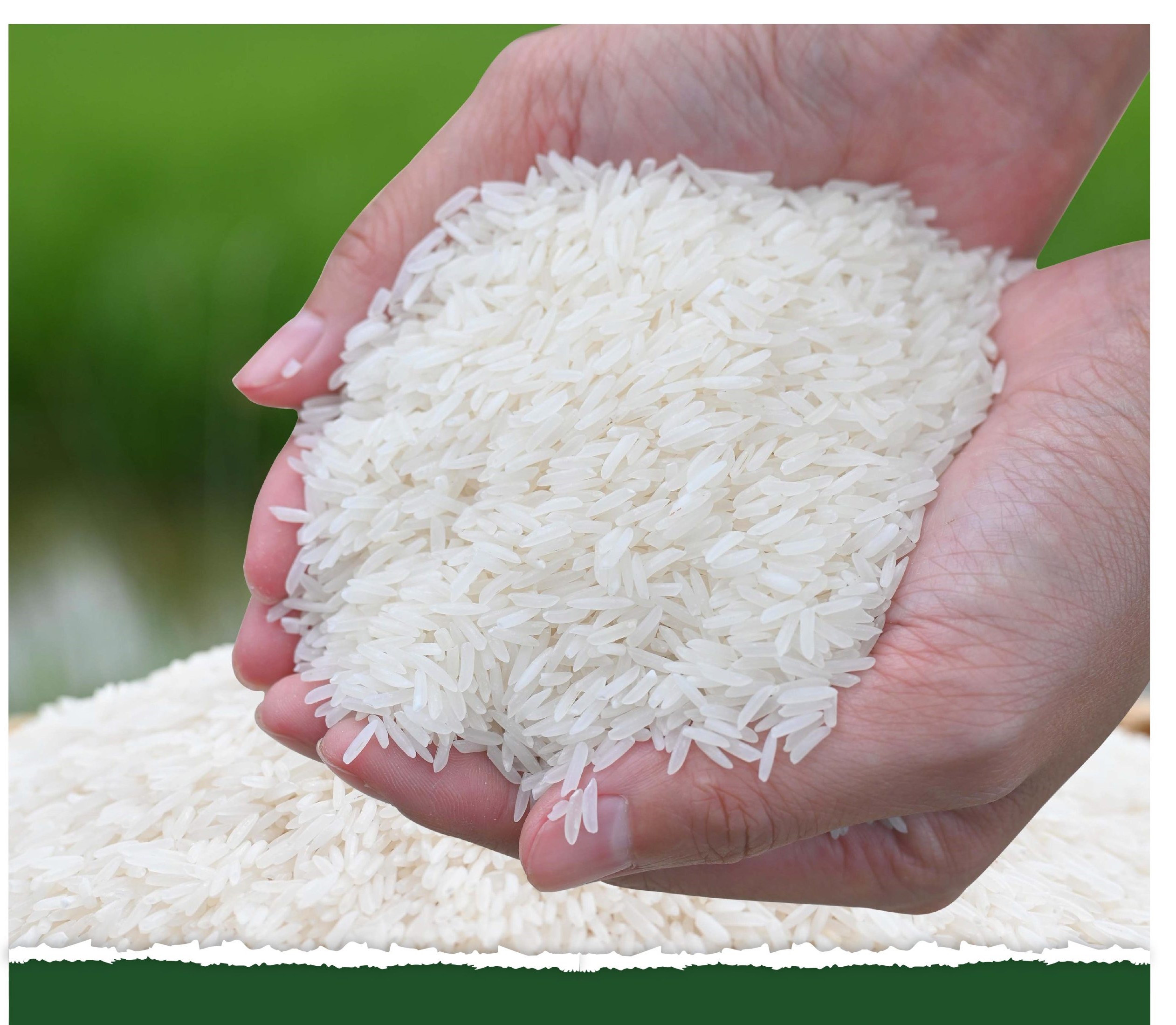 Gạo ST25 Hộp 2kg