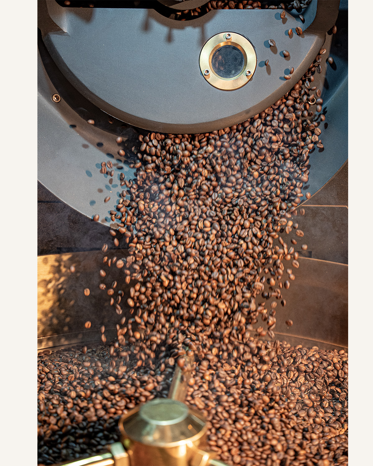 Robusta và Arabica khác nhau thế nào?