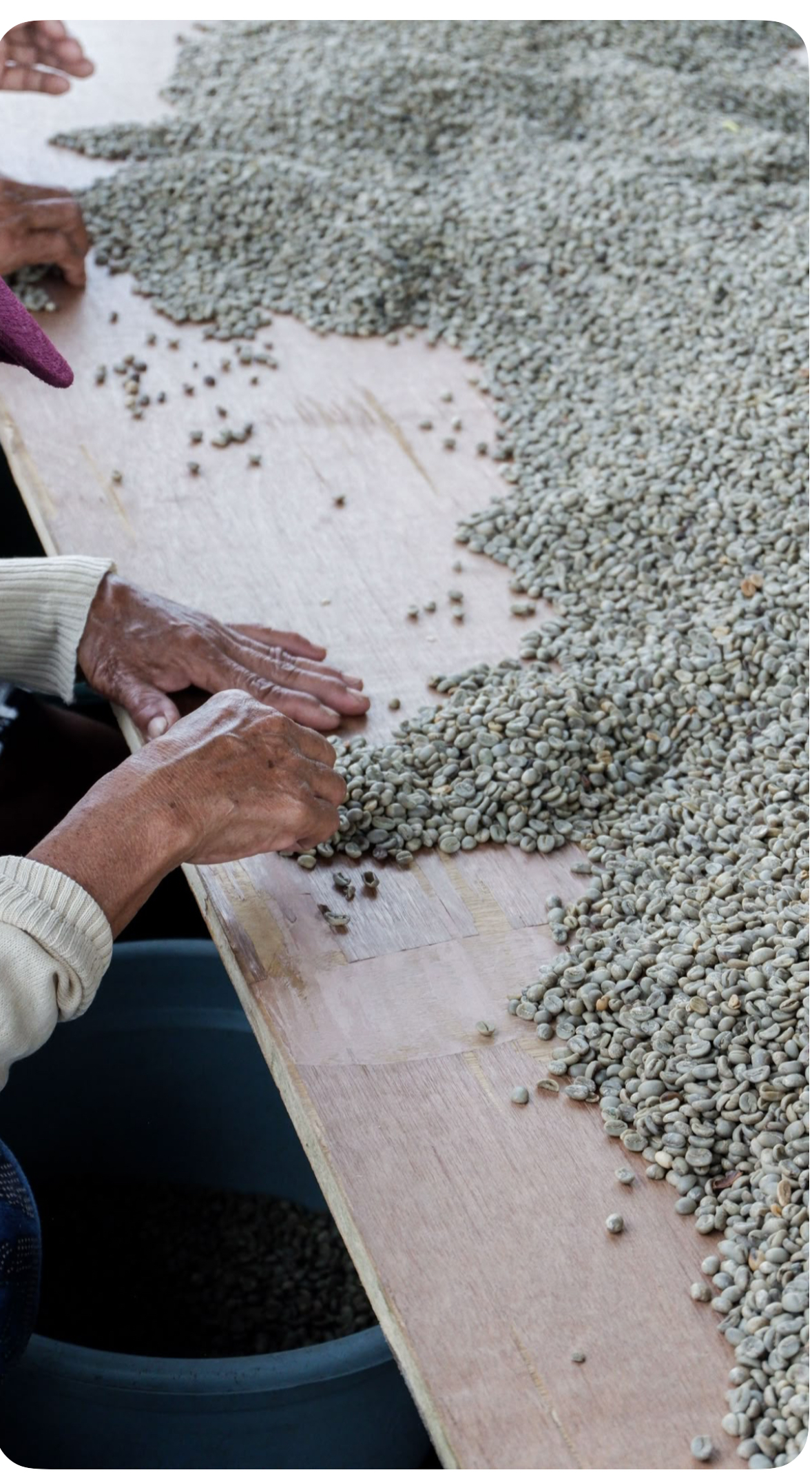 Cà phê Arabica – 500 g
