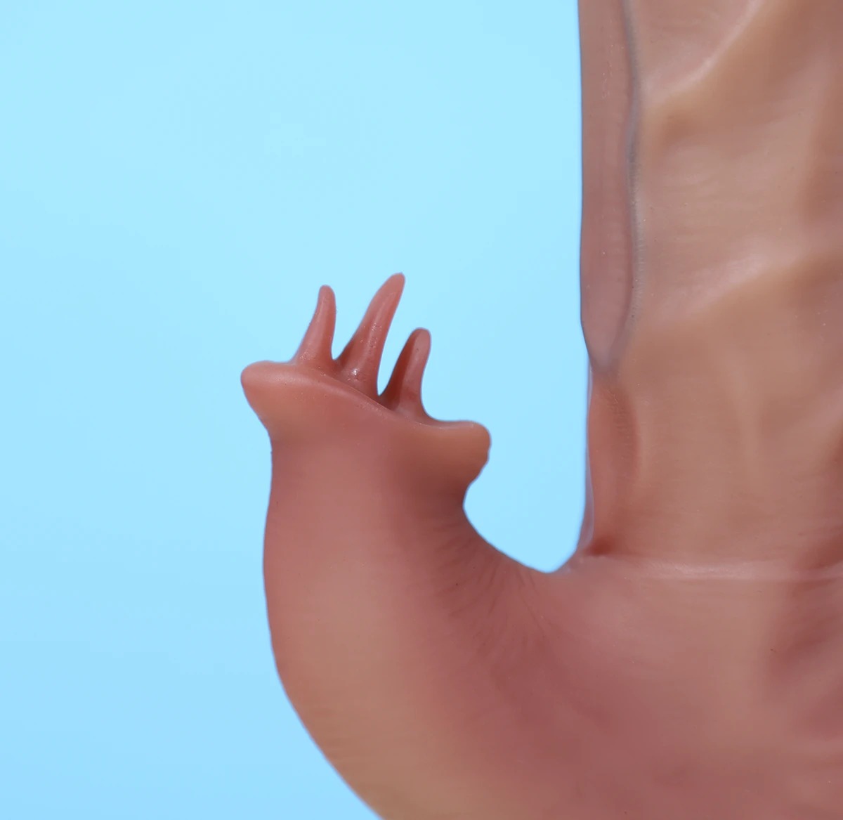 YEAIN Tarzan 3 Dildo Rung Thụt Tỏa Nhiệt Kết Hợp Điều Khiển Từ Xa