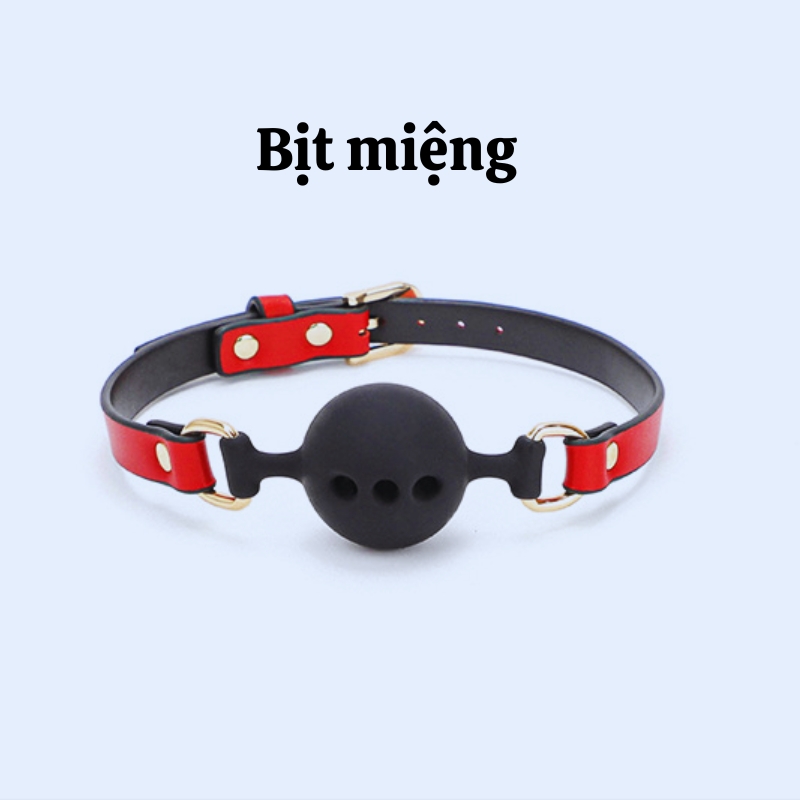 Bộ BDSM 8 Món Hộp Da Cao Cấp