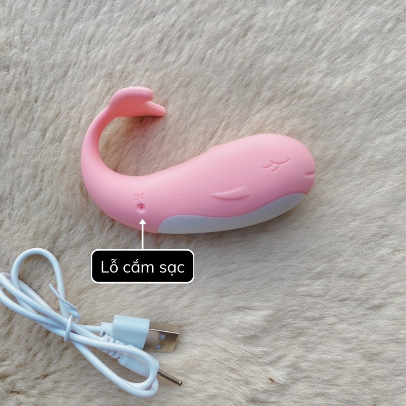 Trứng Rung Cá Voi Little Whale