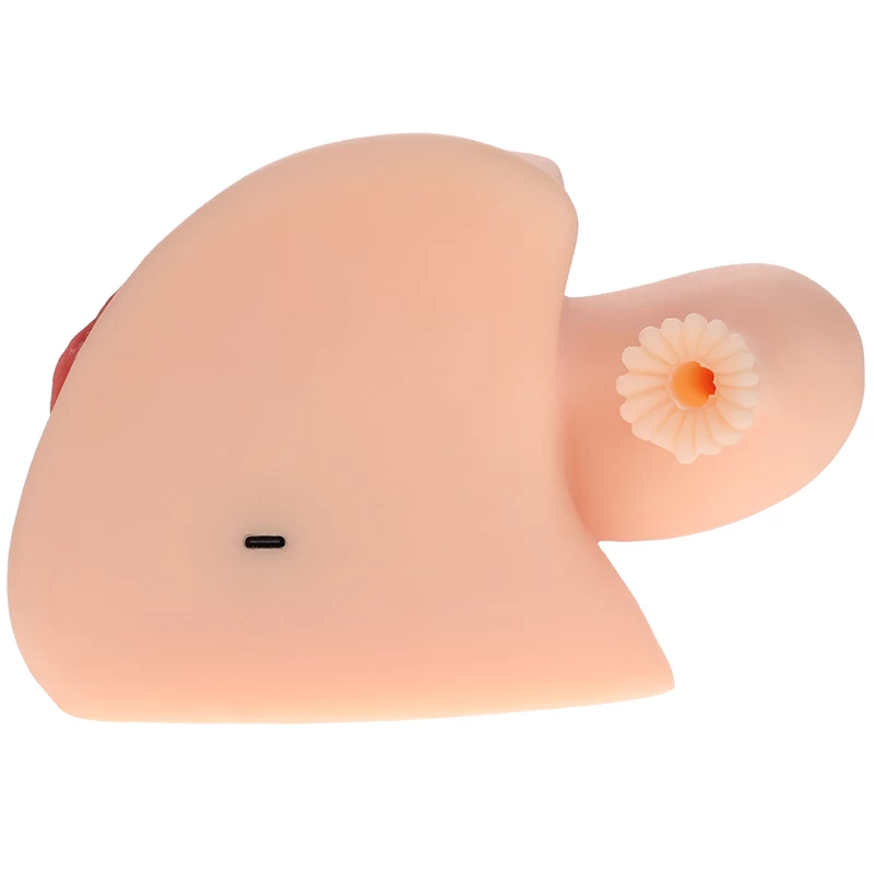 Manmiao Rung Sưởi Ấm Và Cấu Trúc Tử Cung Như Thật